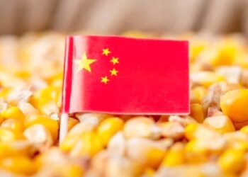 मौसमका कारण चीनमा कृषि र खाद्य सुरक्षामा असर