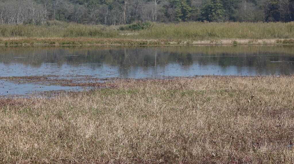 पर्यटकको पर्खाइमा पर्सा राष्ट्रिय निकुञ्ज
