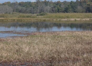 पर्यटकको पर्खाइमा पर्सा राष्ट्रिय निकुञ्ज