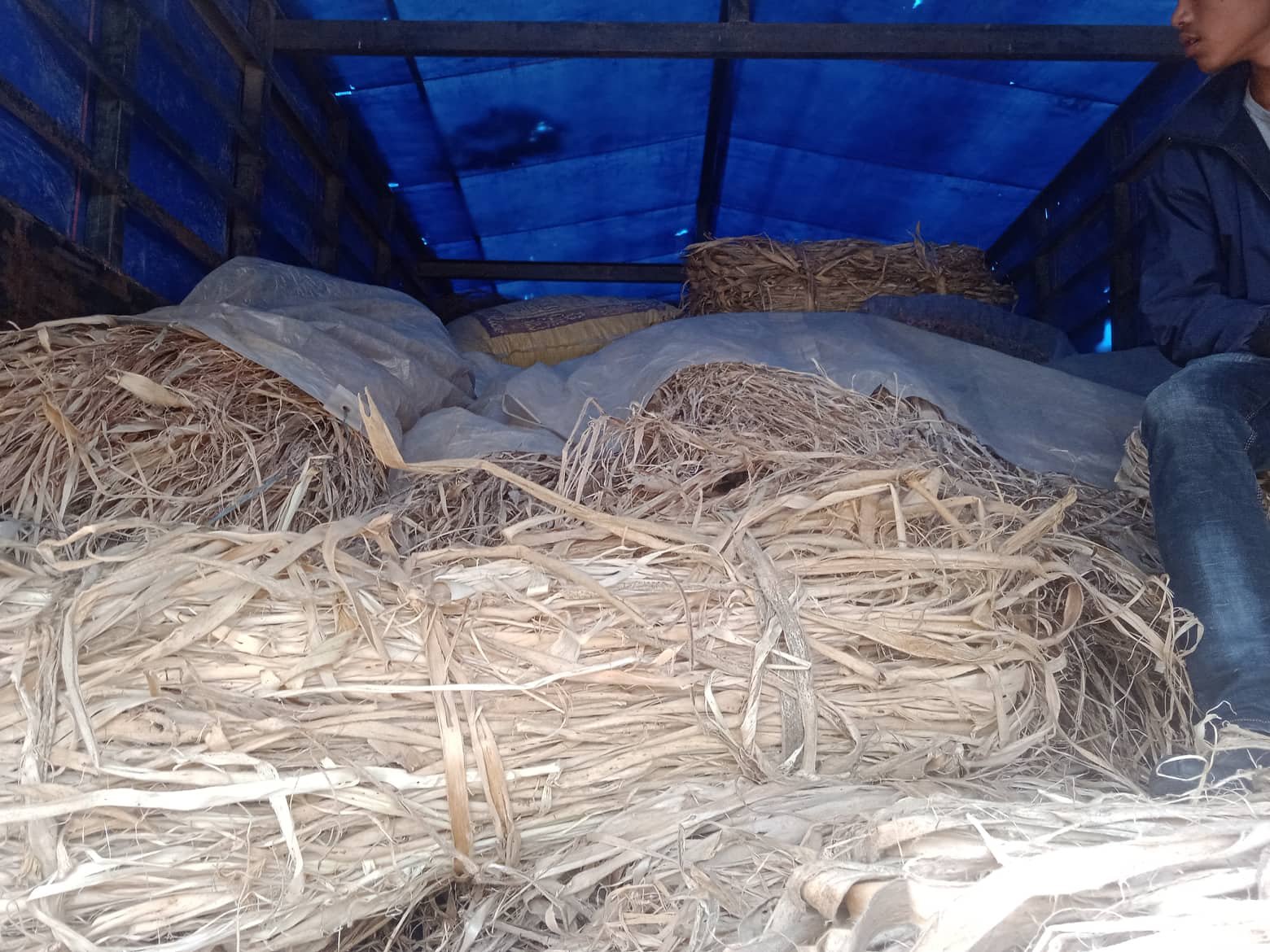 captured-a-truck-of-herbs_khotang.jpg