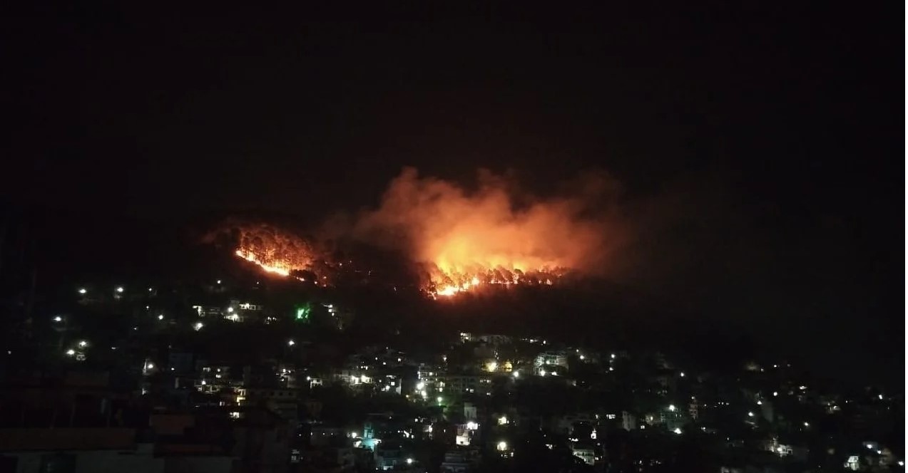 लेलेको डढेलो आनन्द वनमा फैलियो, कुष्ठरोग अस्पताल जोखिममा