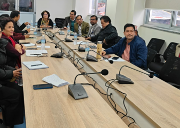 सरकारी सरह तलब सुविधासहितका विभिन्न माग राखेर आन्दोलनमा उत्रिएका नर्स र निजी अस्पताल प्रतिनिधिबीच सहमति