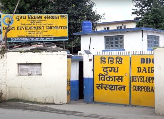 डीडीसीले उपत्यकामा ३० वटा ‘डेडिकेटेड आउटलेट’ खोल्ने
