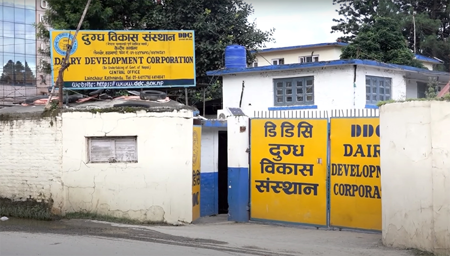 Dairy-Development-Corporation-DDC